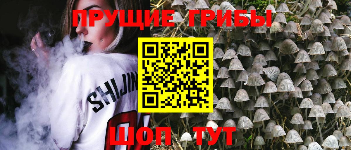 Мурино  Галлюциногенные грибы MAGIC MUSHROOMS  цена   Вход с VPN 