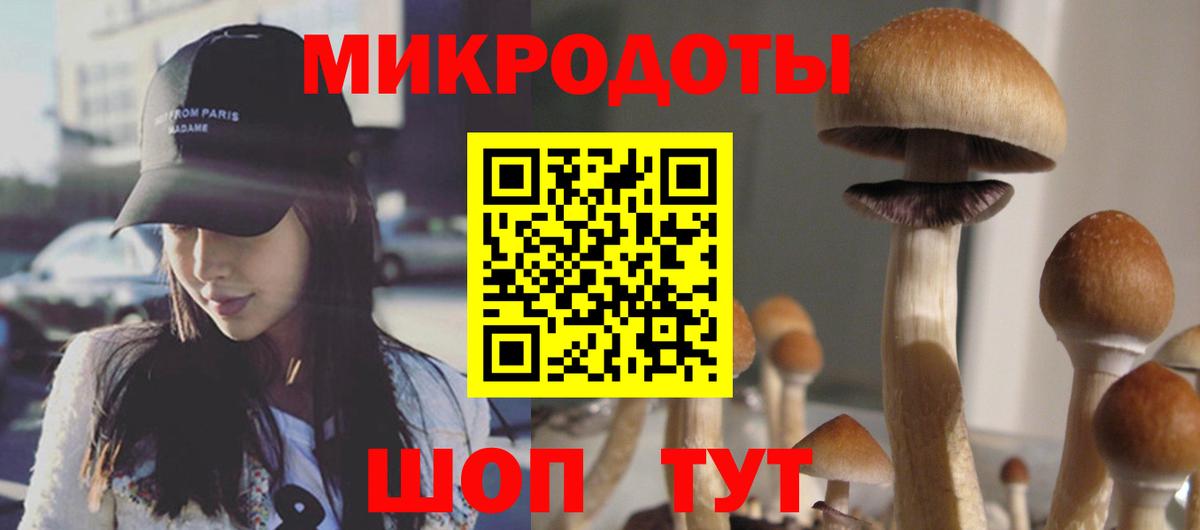 Псилоцибиновые грибы прущие грибы Мурино